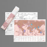 Scratch Map Skrabekort Rose Gold Travel Verdenskort til rejse